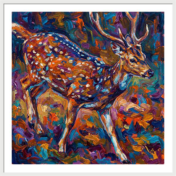 Axis Deer In Vibrant Colors