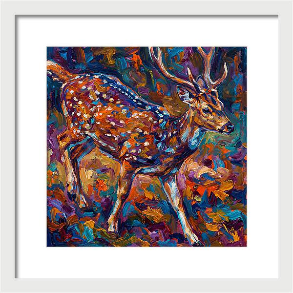 Axis Deer In Vibrant Colors