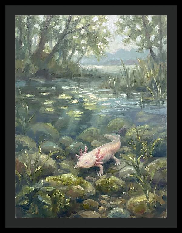 Axolotl In Tranquil Waters
