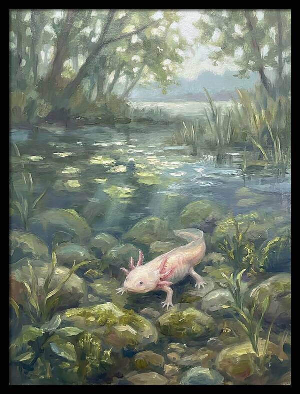 Axolotl In Tranquil Waters