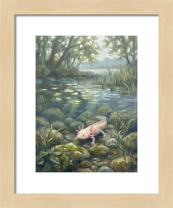 Axolotl In Tranquil Waters