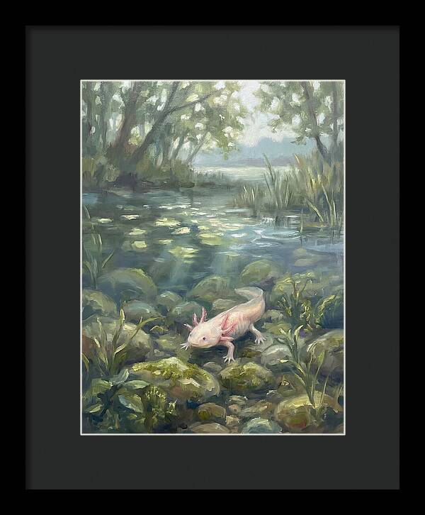 Axolotl In Tranquil Waters