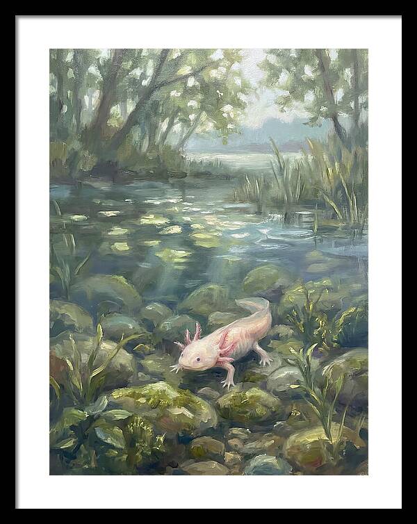 Axolotl In Tranquil Waters