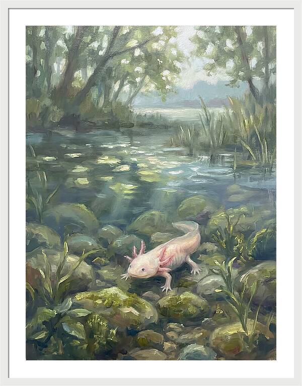 Axolotl In Tranquil Waters
