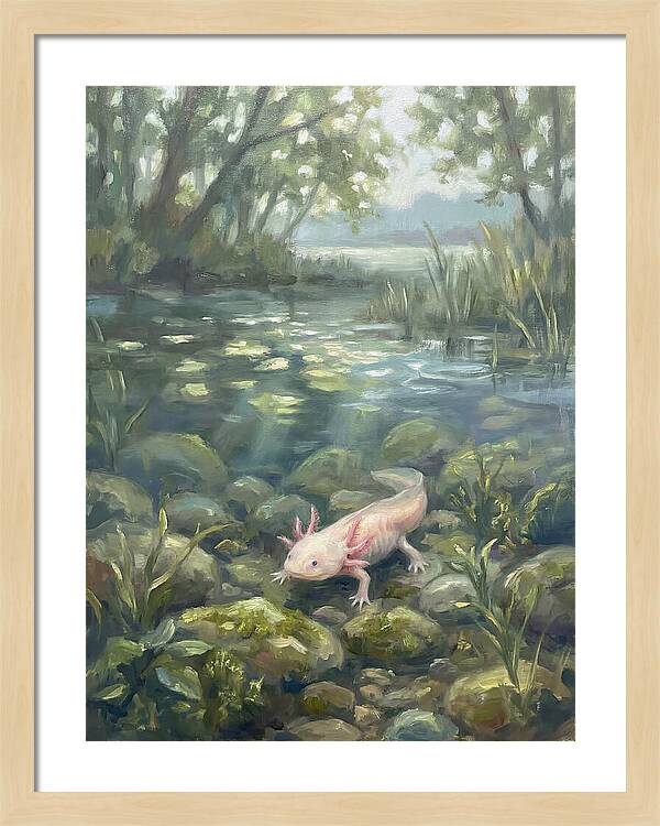 Axolotl In Tranquil Waters