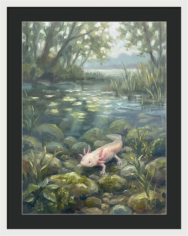 Axolotl In Tranquil Waters