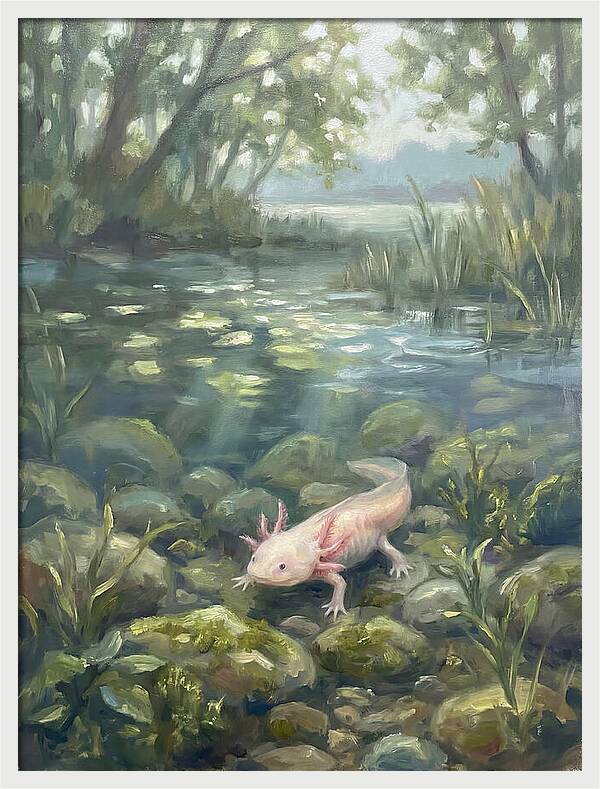 Axolotl In Tranquil Waters