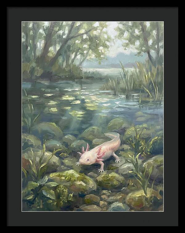 Axolotl In Tranquil Waters