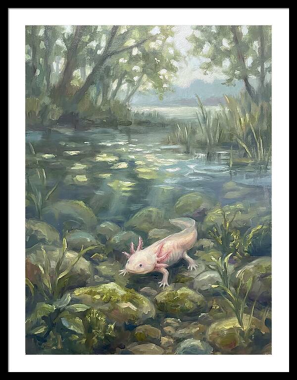 Axolotl In Tranquil Waters