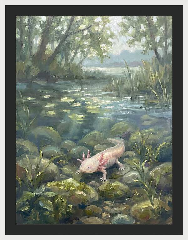 Axolotl In Tranquil Waters