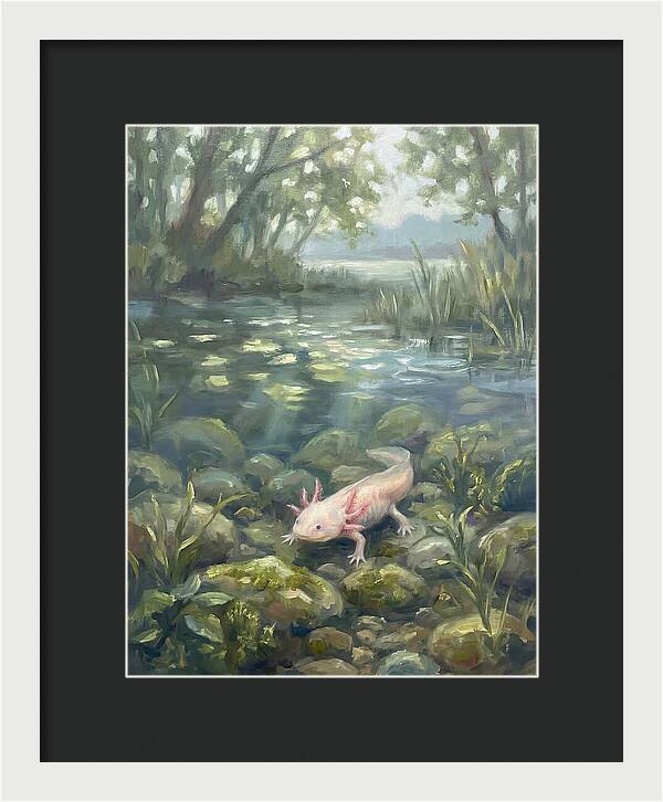 Axolotl In Tranquil Waters