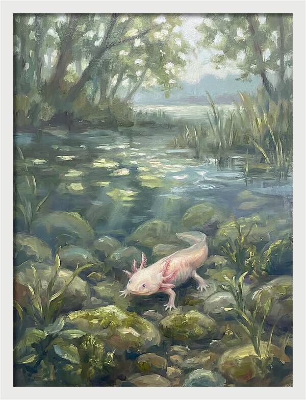 Axolotl In Tranquil Waters