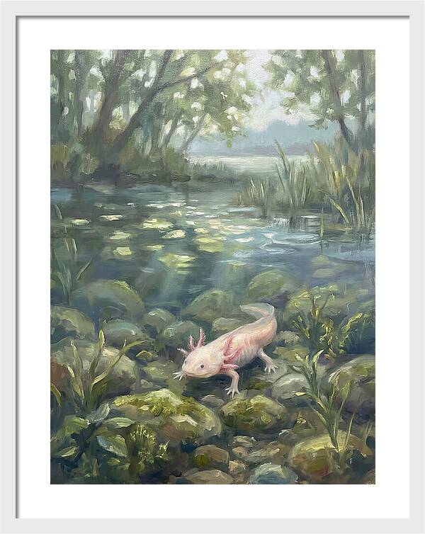 Axolotl In Tranquil Waters