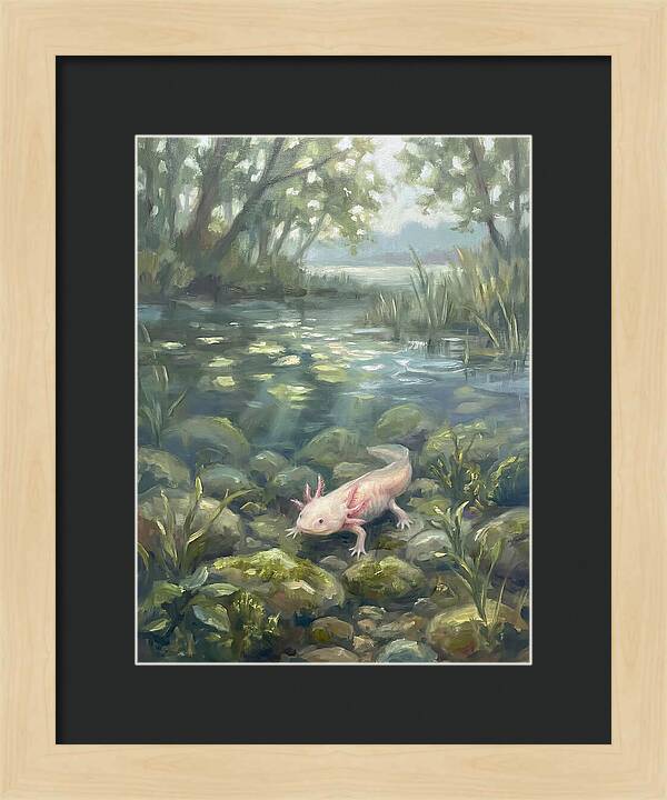 Axolotl In Tranquil Waters