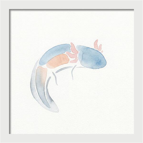 Axolotl Watercolor Minimalism