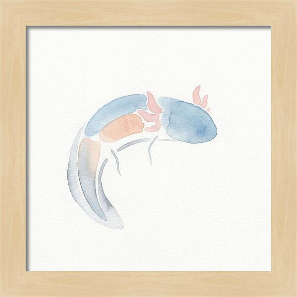Axolotl Watercolor Minimalism