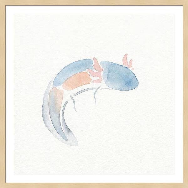 Axolotl Watercolor Minimalism