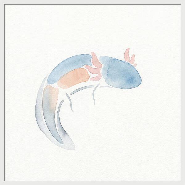 Axolotl Watercolor Minimalism