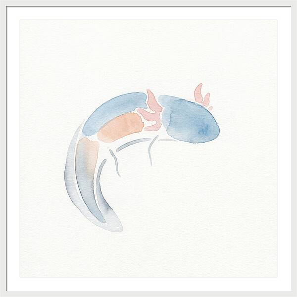 Axolotl Watercolor Minimalism