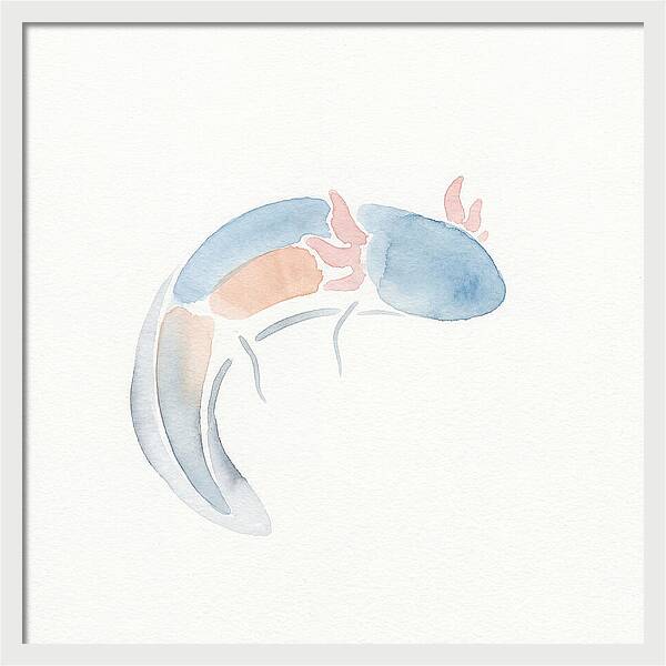 Axolotl Watercolor Minimalism
