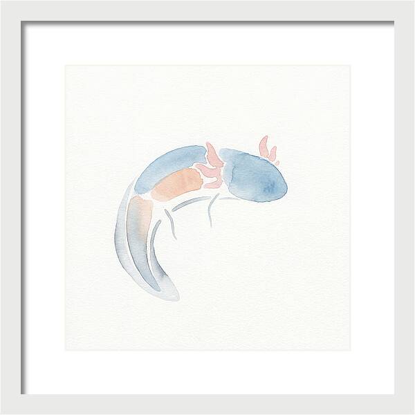 Axolotl Watercolor Minimalism