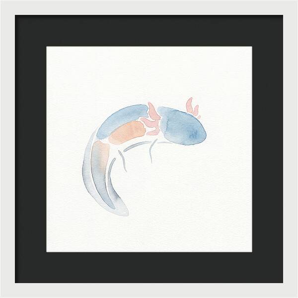 Axolotl Watercolor Minimalism