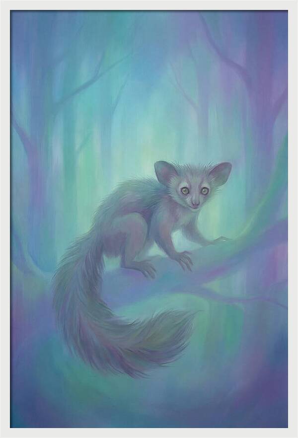 Aye Aye In Dreamy Forest