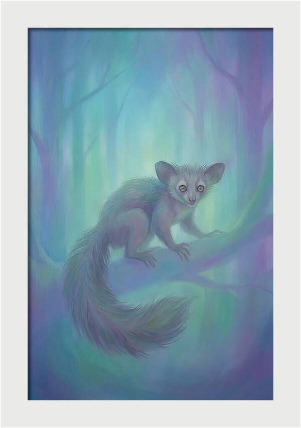 Aye Aye In Dreamy Forest