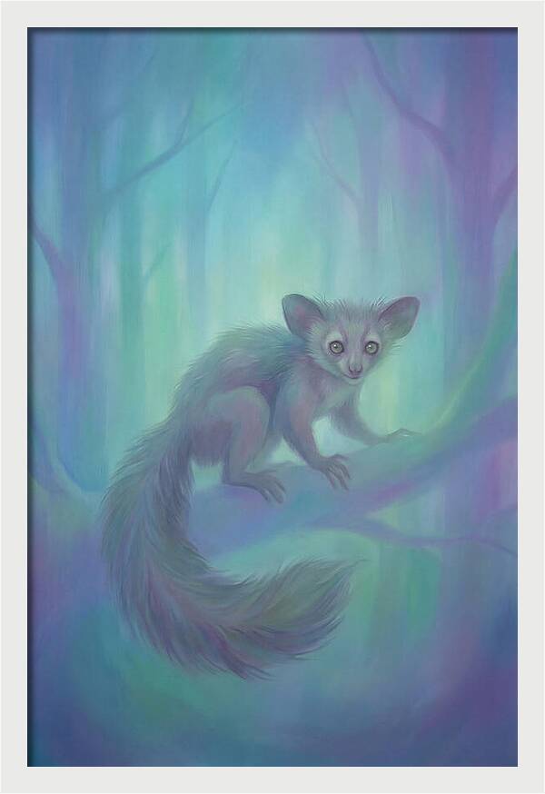 Aye Aye In Dreamy Forest