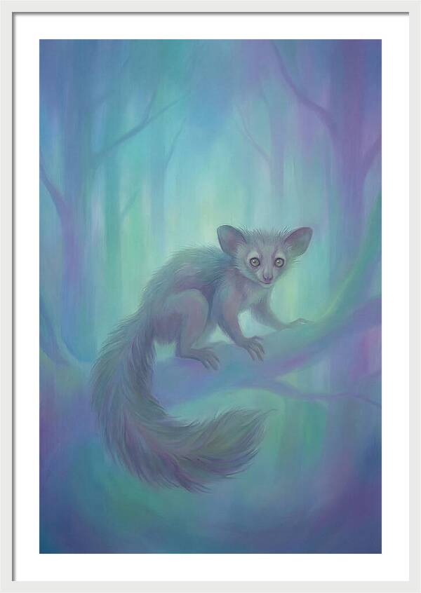 Aye Aye In Dreamy Forest