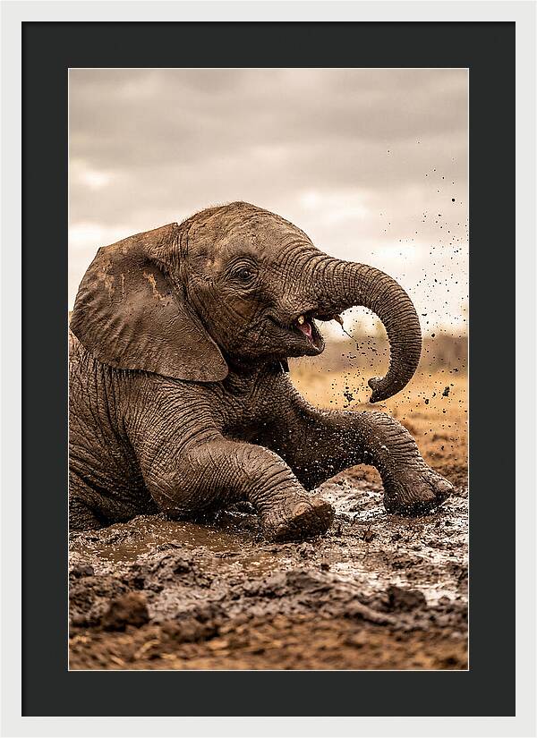 Baby Elephant Enjoying Mud Bath