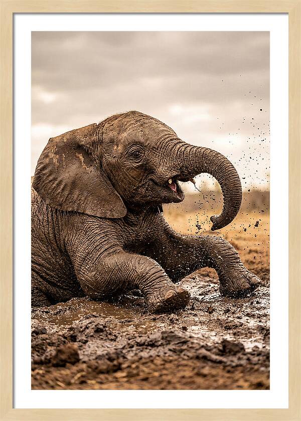 Baby Elephant Enjoying Mud Bath
