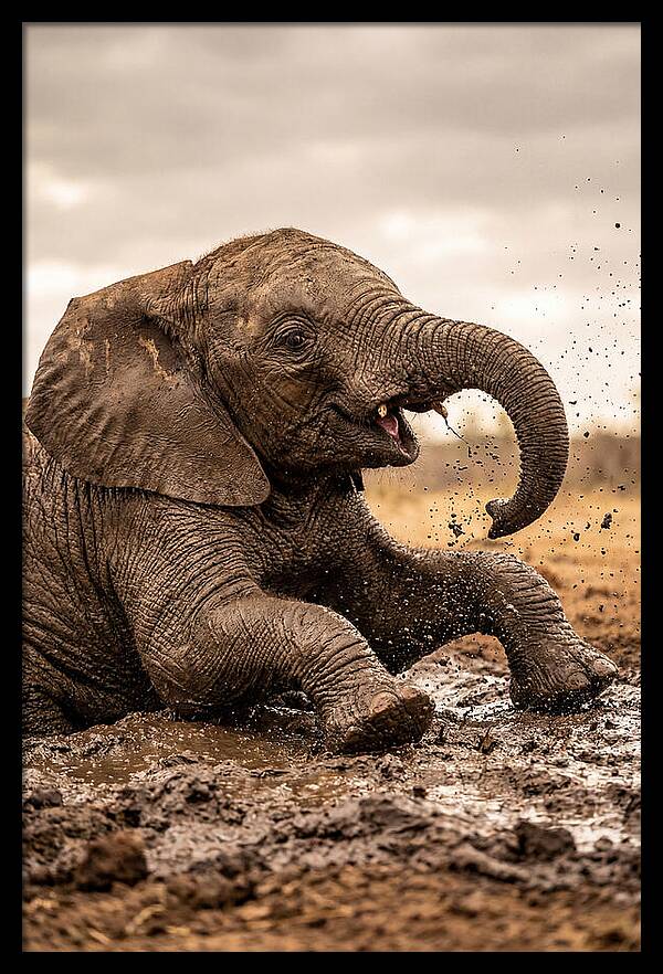 Baby Elephant Enjoying Mud Bath