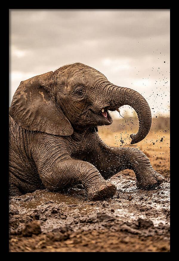 Baby Elephant Enjoying Mud Bath