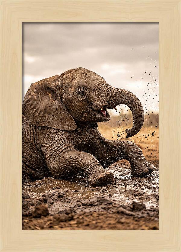 Baby Elephant Enjoying Mud Bath