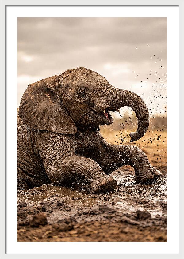 Baby Elephant Enjoying Mud Bath