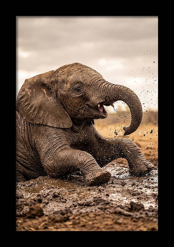 Baby Elephant Enjoying Mud Bath