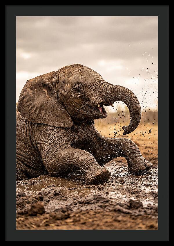 Baby Elephant Enjoying Mud Bath