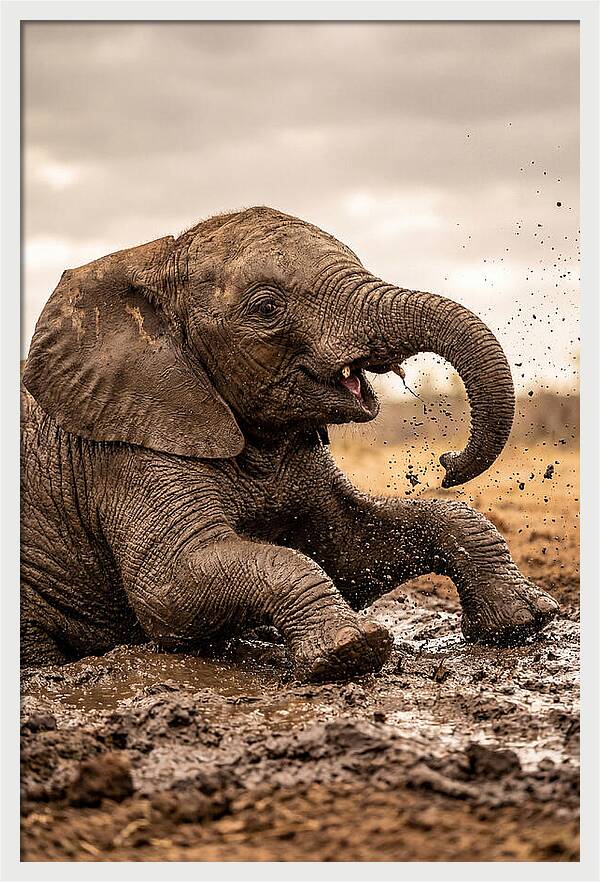 Baby Elephant Enjoying Mud Bath