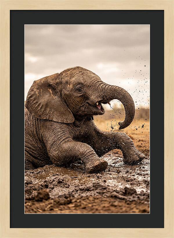 Baby Elephant Enjoying Mud Bath