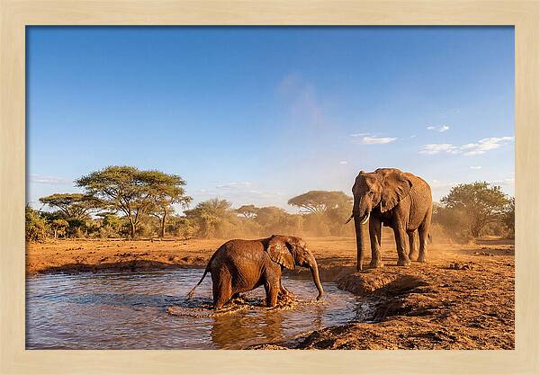 Baby Elephant Playing In Mud