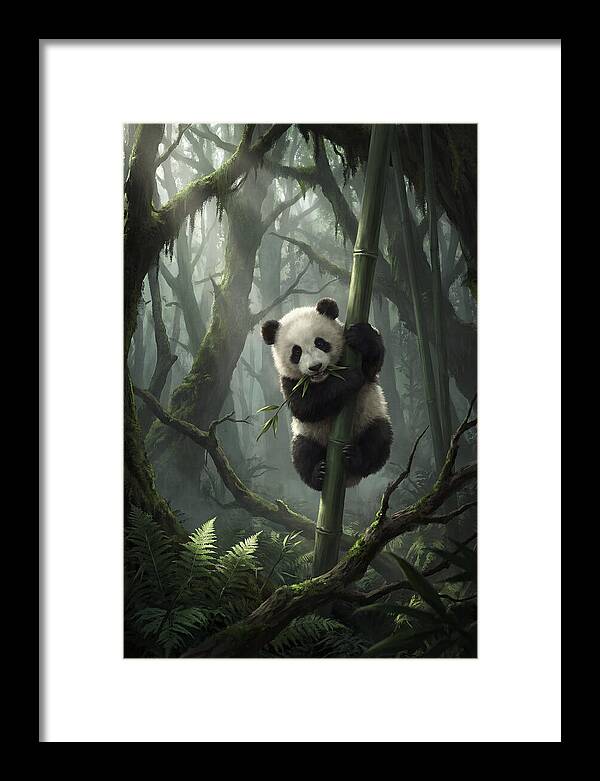 Baby Panda In Misty Forest