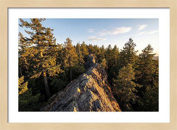 Backbone State Park Panorama