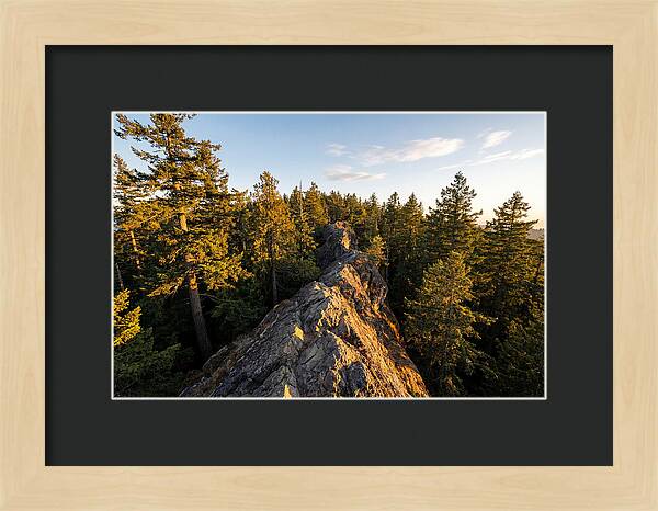 Backbone State Park Panorama