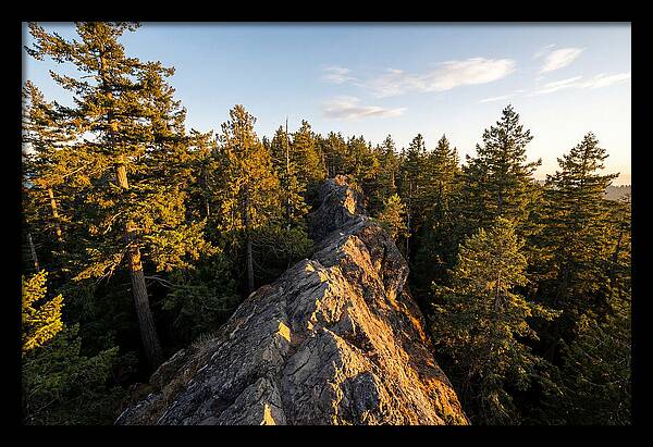 Backbone State Park Panorama
