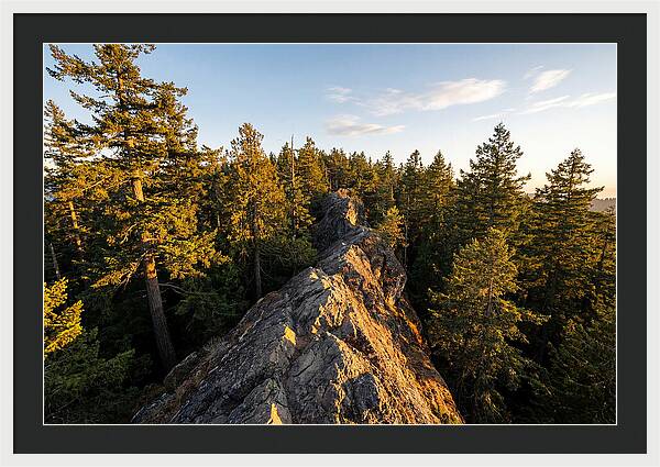 Backbone State Park Panorama