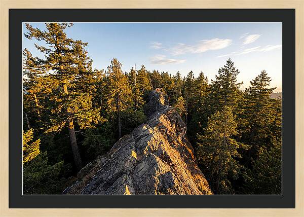 Backbone State Park Panorama