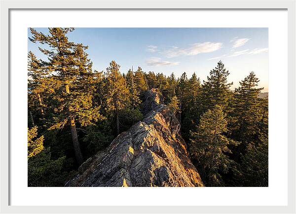 Backbone State Park Panorama