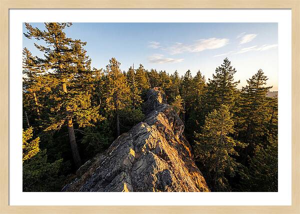 Backbone State Park Panorama