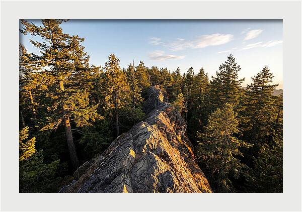 Backbone State Park Panorama